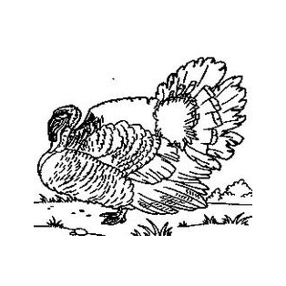 ПромТоргАльянс