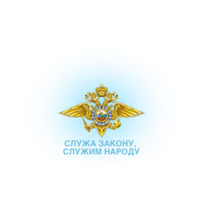 2-й специальный полк полиции ГУ МВД России по г. Москве