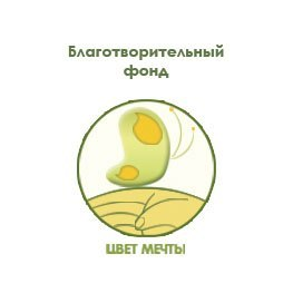 Цвет мечты, Благотворительный фонд