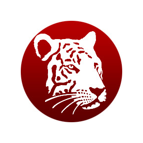 White Tiger Design Studio