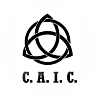 Central Asia Industrial Company