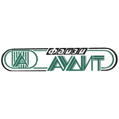 Файзи Аудит