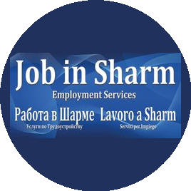 Job in Sharm