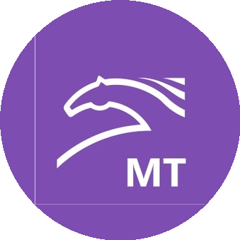 Мастер Транс