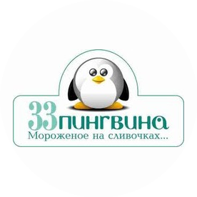 33 пингвина (Мецлер Е.С., ИП)