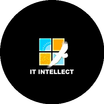 IT-INTELLECT