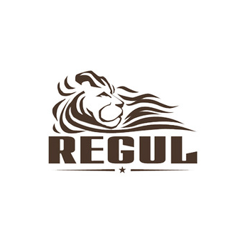 Студия дизайна РЕГУЛ