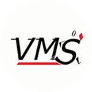 Виза менеджмент сервис