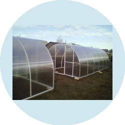 Петербургские теплицы