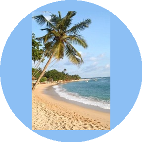 ИМПЕРАТОР ТУР