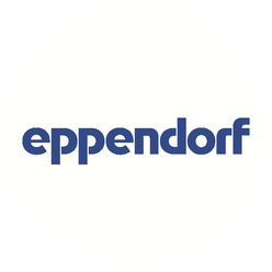 Эппендорф Раша