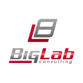 Big Lab Consulting