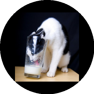 Данон-ЮниМилк