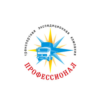 Профессионал