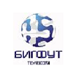 Бигфут Телеком