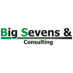 Big Sevens&Consulting
