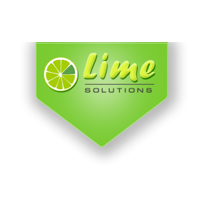 Lime Solutions Kazakhstan, ТМ (Go-web digital, ТОО)