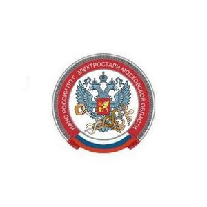 ИФНС России по г. Электростали Московской области