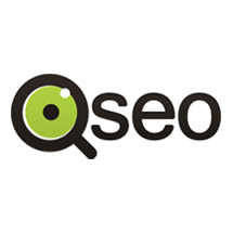 Qseo, Интернет-компания