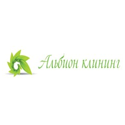 Альбион Клининг