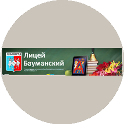 ГАОУ Республики Марий Эл Лицей Бауманский