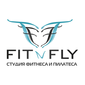 Fit N Fly