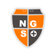 Группа компаний NGS+