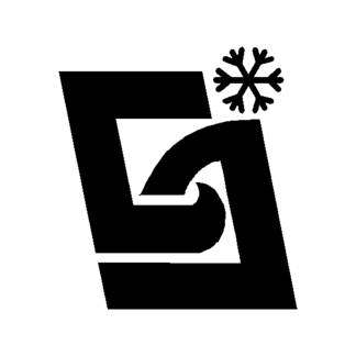 Сибирская академия финансов и банковского дела