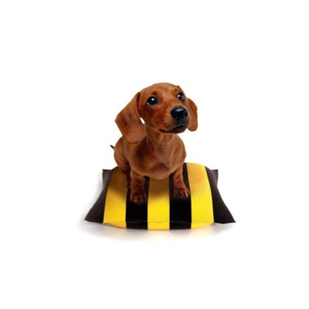 Директ Экшн Ритейл