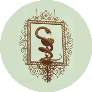 Калина плюс