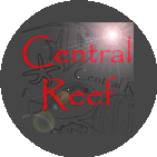 Центральный Риф