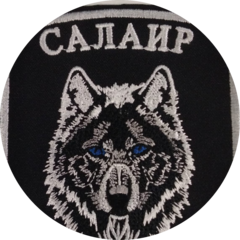 ЧОП Салаир