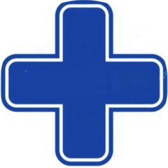 Теймуразова Мария Бежановна