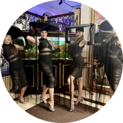 Шоу балет Millennium