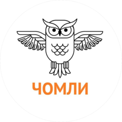 ГБОУ Челябинский областной многопрофильный лицей-интернат для одаренных детей