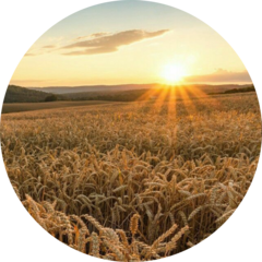 Кудряшов Владимир Васильевич