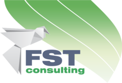 FST Consulting