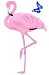 Салон причесок Фламинго