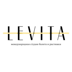 Levita (ИП Щукин Артем Александрович)