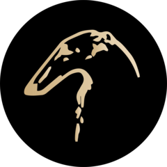 Борзова Дизайн Групп