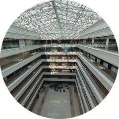 Михеева Ольга Васильевна