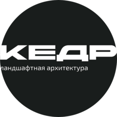 Кедр Ландшафтная архитектура
