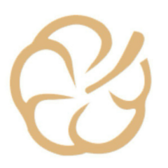 Доктор Эстетик Премиум