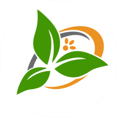 Новые селекционные достижения в растениеводстве