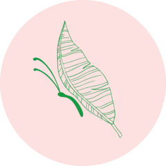 Парк бабочек Paradise (ООО Инициатива)