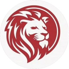 Профи Казань