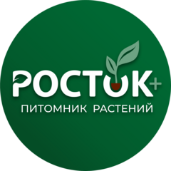 АнастасияАгро, Крестьянское хозяйство