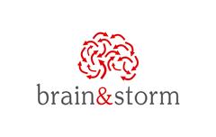 Brain & Storm Inc.