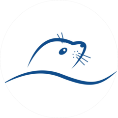 НПП Балтийская электроника