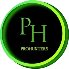 ProHunters - кадровое агентство